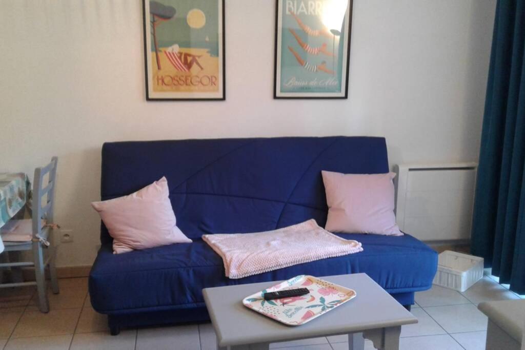 T2 Antigua Ondres Plage Avec Piscine Et Tennis المظهر الخارجي الصورة