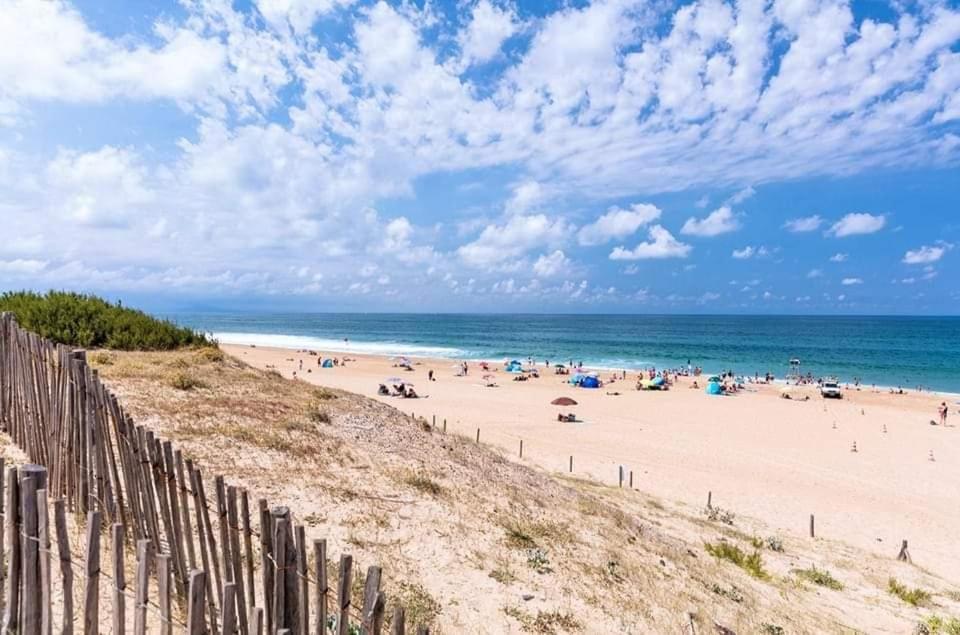T2 Antigua Ondres Plage Avec Piscine Et Tennis المظهر الخارجي الصورة